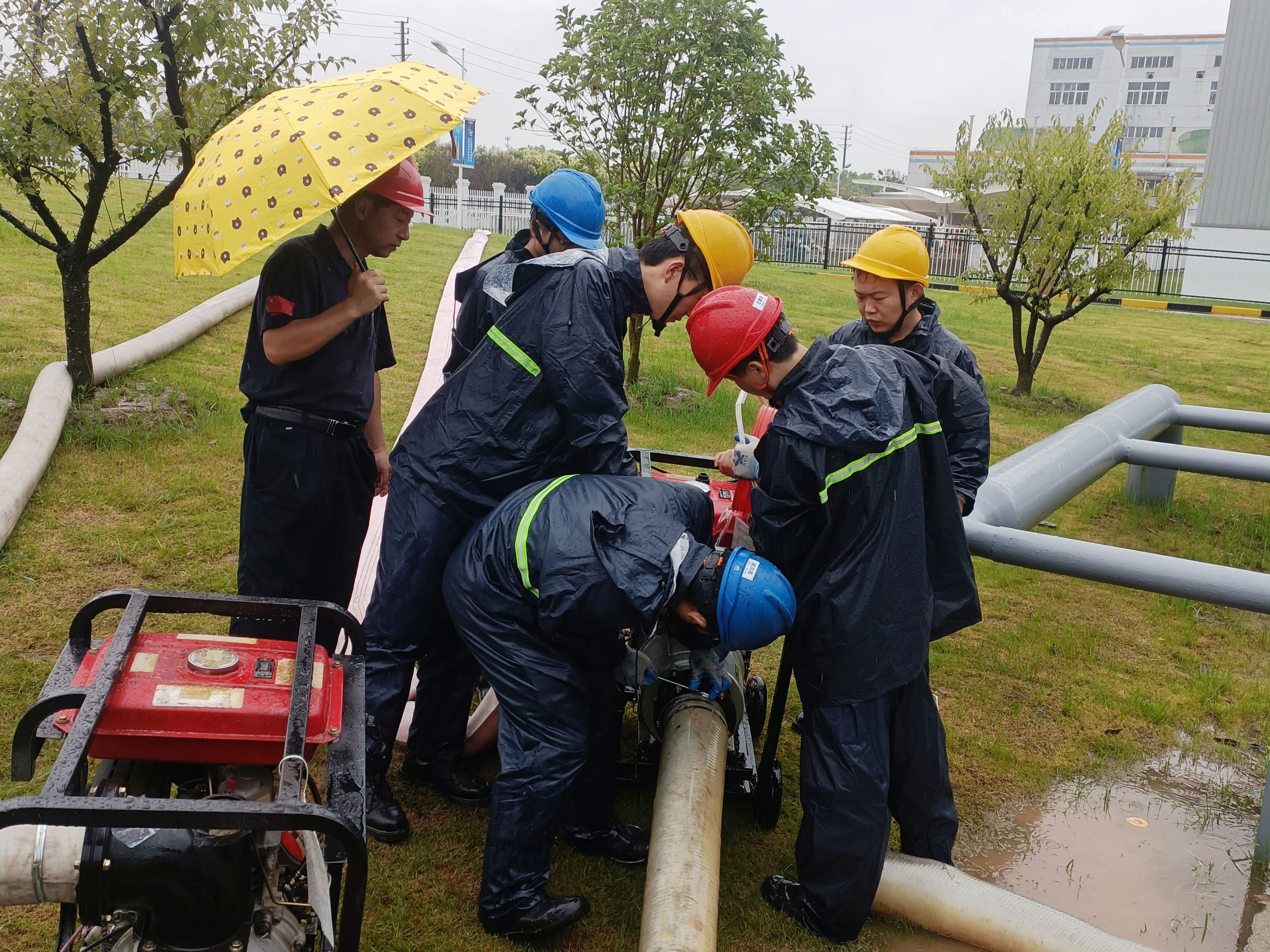 彩神(Vll)股份有限公司 - 追求健康一起成长